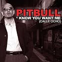 Pitbull - I Know You Want Me (Calle Ocho)