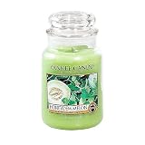 Yankee Candle 22 oz. Honeydew Melon Jar Candle