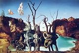 Salvador Dali - Art Print, Swans Reflecting Elephants 1937 (28x36cm Art Prints/Posters)