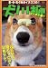 犬川柳 コーギー魂! (タツミムック)