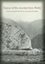 Palaces of the Ancient New World (Dumbarton Oaks Pre-Columbian Conference Proceedings)