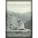 Palaces of the Ancient New World (Dumbarton Oaks Pre-Columbian Conference Proceedings)