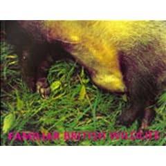 Familiar British Wildlife