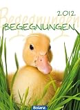 Produkt-Bild: Begegnungen 2012