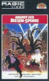 Angriff der Riesenspinne - Steve Brodie