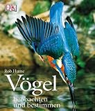 V�gel.