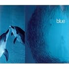 The Blue by Jean-Michel Cousteau, Buzz Aldrin, David Bellamy, and Sylvia Earle