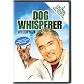 The Dog Whisperer