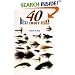 40 Best Trout Flies