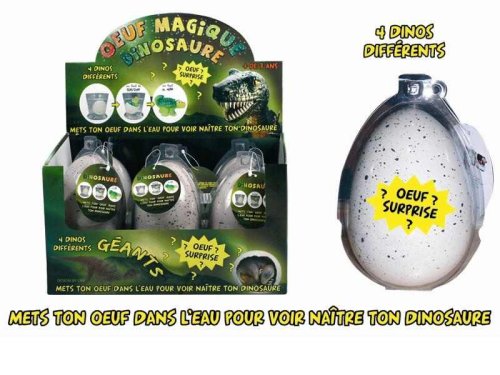 LOT 6 OEUFS MAGIQUES GEANTS DINOSAURES - CMP