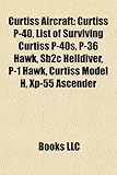 Curtiss Aircraft: Curtiss P-40, List of Surviving Curtiss P-40s, P-36 Hawk, Sb2c Helldiver, P-1 Hawk, Curtiss Model H, XP-55 Ascender-
