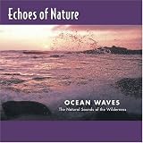 Echoes of Nature: Ocean Waves