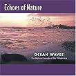 Echoes of Nature: Ocean Waves
