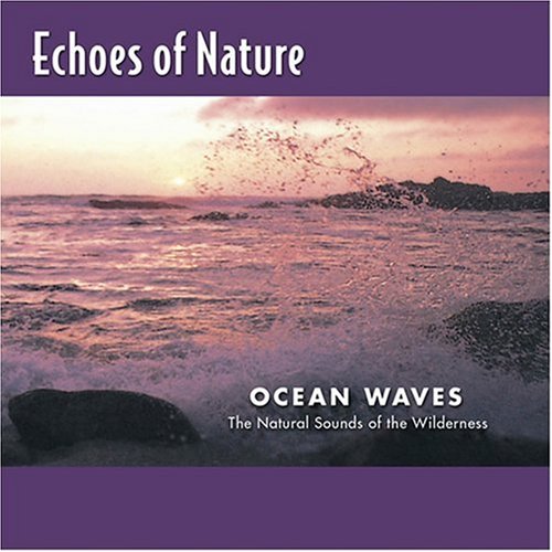 Echoes of Nature: Ocean Waves