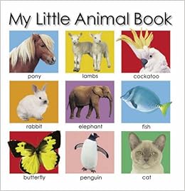 My Little Animal Book [MY LITTLE ANIMAL BK-BOARD]: Jo(Author) Rigg ...