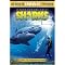 Shark Fun!