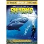 Search for the Great Sharks