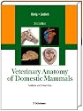 Veterinary Anatomy of Domestic Mammals, Textbook and Colour Atlas