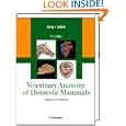 Veterinary Anatomy of Domestic Mammals, Textbook and Colour Atlas