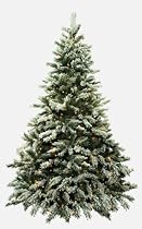 Bethlehem Lights 7-1/2 Foot Flocked Telluride Christmas Tree Pre-Lit with Multi-Color Lamps