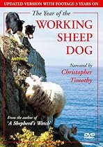 The Year Of The Working Sheep Dog [DVD] [2000]