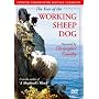The Year Of The Working Sheep Dog [2000]