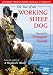 The Year Of The Working Sheep Dog [DVD] [2000]