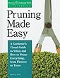 Pruning made easy