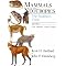Learn About S. American Marsupials