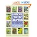 Landscape Plants For Dry Regions: More Than 600 Species From Around The World