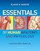 Essentials of Human Anatomy & Physiology Laboratory Manual by R.N., PH.D. Elaine N. Marieb