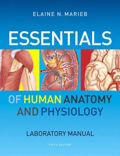 Essentials of Human Anatomy & Physiology Laboratory Manual Book Image