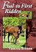 Book Foal to First Ridden
