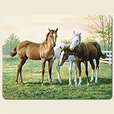 Placemats ~ Yearlings Horses ~ set of 4 corkboard 11.5 x 15 inch placemats ~ code 692 by Artworks Home Accents