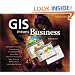 GIS Means Business: 2