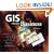 GIS Means Business Volume 2