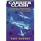 Good books on the Pacific Air War