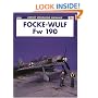 Focke-Wulf Fw 190 (Osprey Modelling Manuals 20)