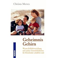 Geheimnis Gehirn (Taschenbuch)