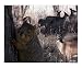 Nature's Guide Motivational Photographic Poster Print by Bill Stephens, 20x16