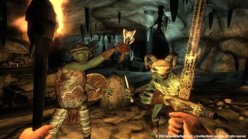 Elder Scrolls 4: Oblivion Collector's Edition (DVD-ROM) image