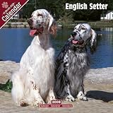 Eigenschaften Avonside Publishing Ltd.  / Kalender 2009 English Setter