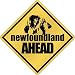 New  Newfoundland Bites Ahead !  Crossing Dog