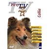 Collie