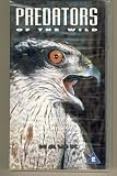 Predators of the Wild, Hawk