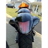 08-11 Suzuki Hayabusa Integrated Tail Light Clear 