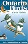 Ontario Birds