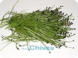 Micro Greens - Chives - 4 x 4 oz