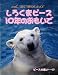 しろくまピース10年のおもいで