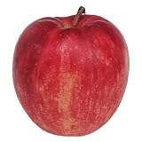 送料無料!(一部地域除く) 青森産ジョナゴールド3kg(7~12玉)
